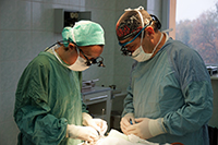 Image of Drs. Jackson and Vástyán repairing cleft palate in Ukraine.