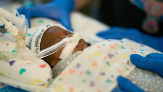 CHOP Researchers Find NICU Antibiotic Use Decreased Substantially in Past Decade