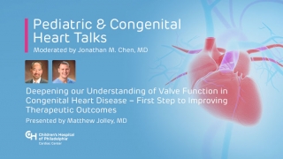 Deepening our Understanding of Valve Function in Congenital Heart Disease – First Step to Improving Therapeutic Outcomes