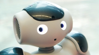 face of hospital robot