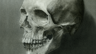 Human Skull Carbon Dust Rendering - Thumbnail