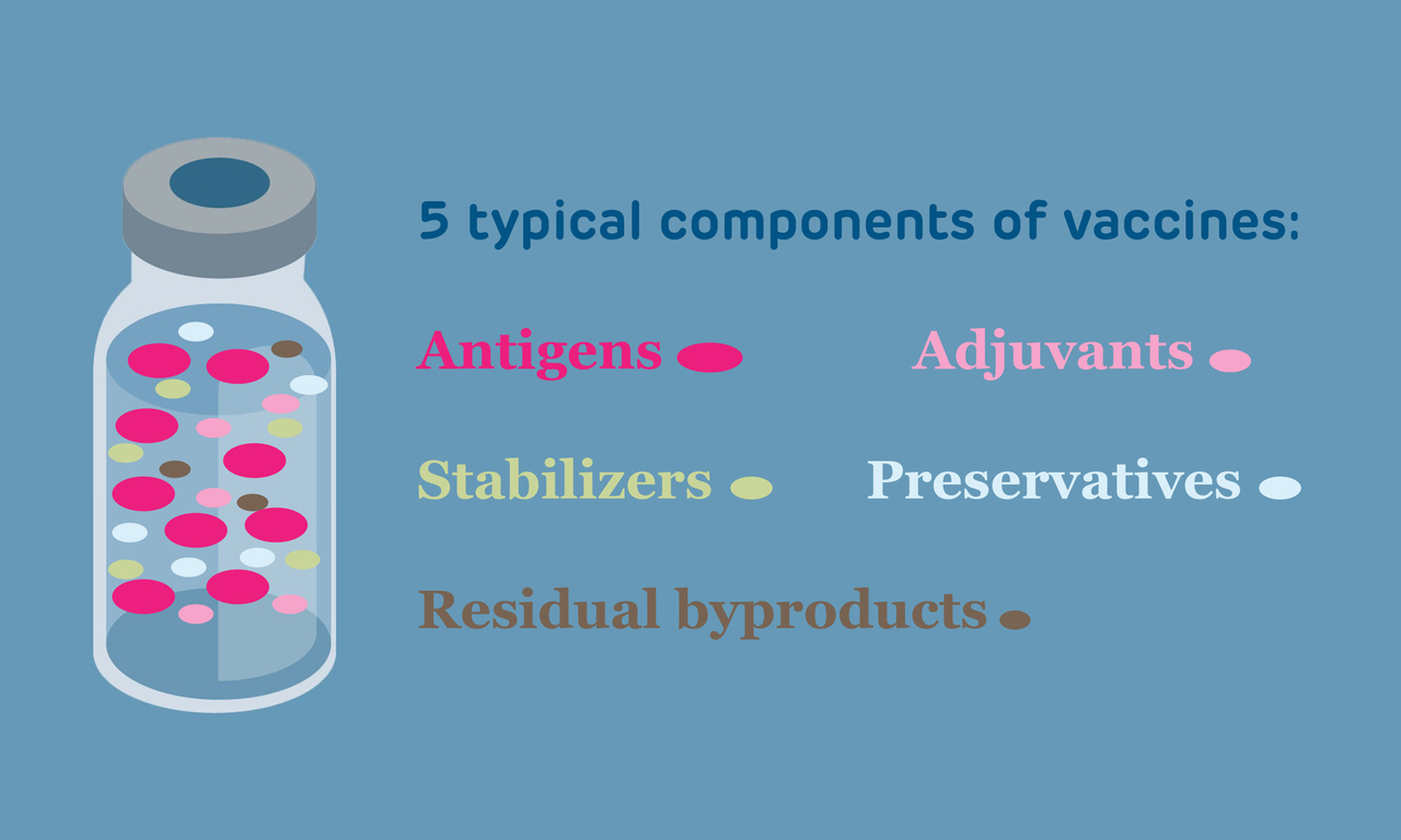 5 typical components of vaccines illustration