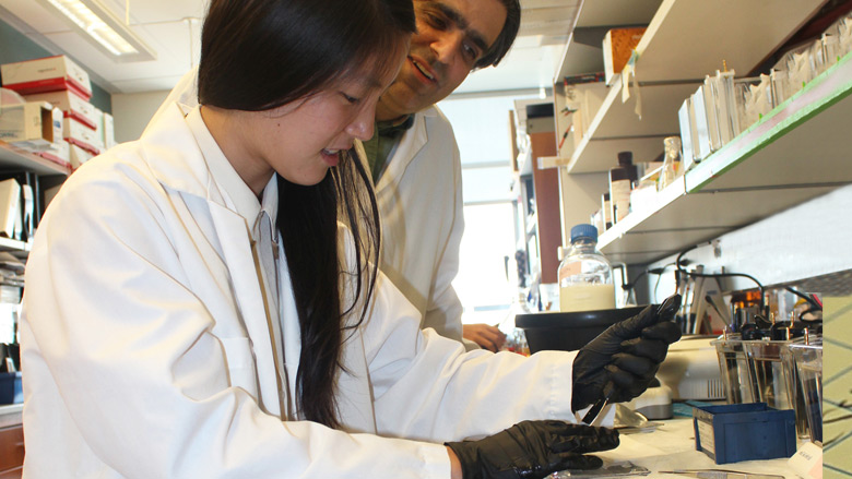 Two scientists working in lab