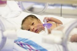 Baby in NICU