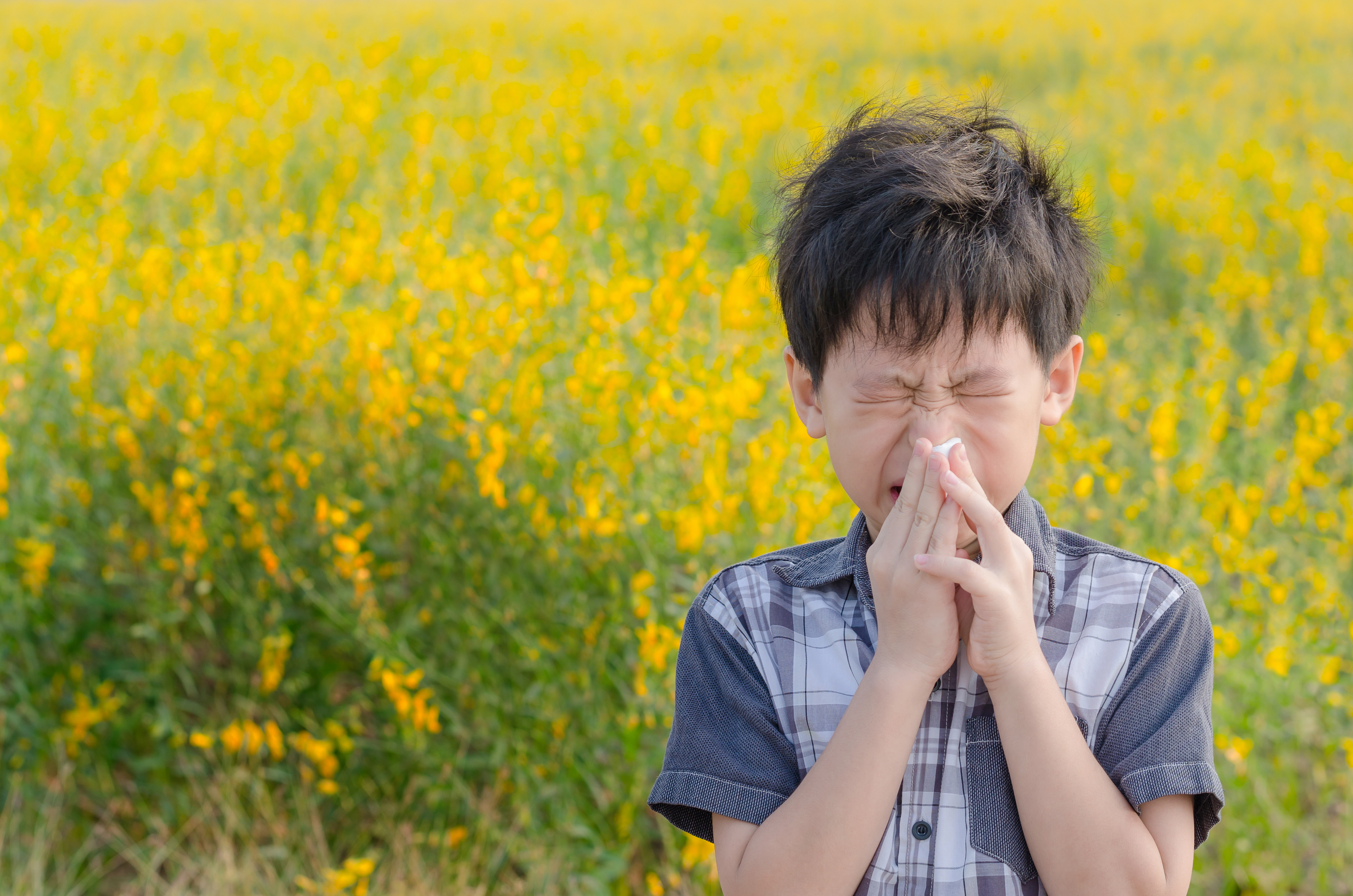 Ampio studio nazionale che indaga sull’allergia pediatrica a marzo