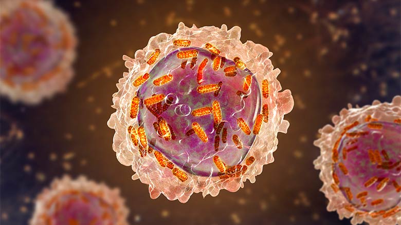 New Computational Tool Tracks Transfer of Mitochondria from T Cells to Cancer Cells New Computational Tool Tracks Transfer of Mitochondria from T Cells to Cancer Cells