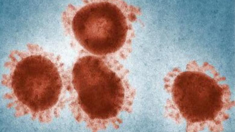 Microscopic view of Coronavirus Microscopic view of Coronavirus