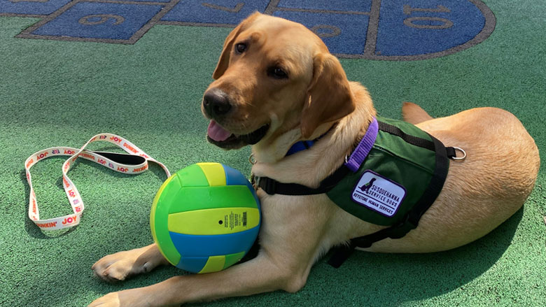 Photo of Dilly, CHOP's first full-time facility dog