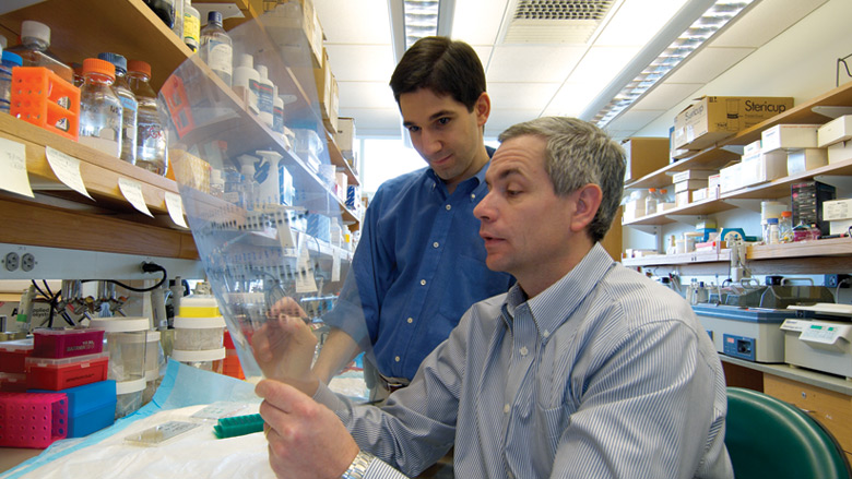 Dr. Maris in lab