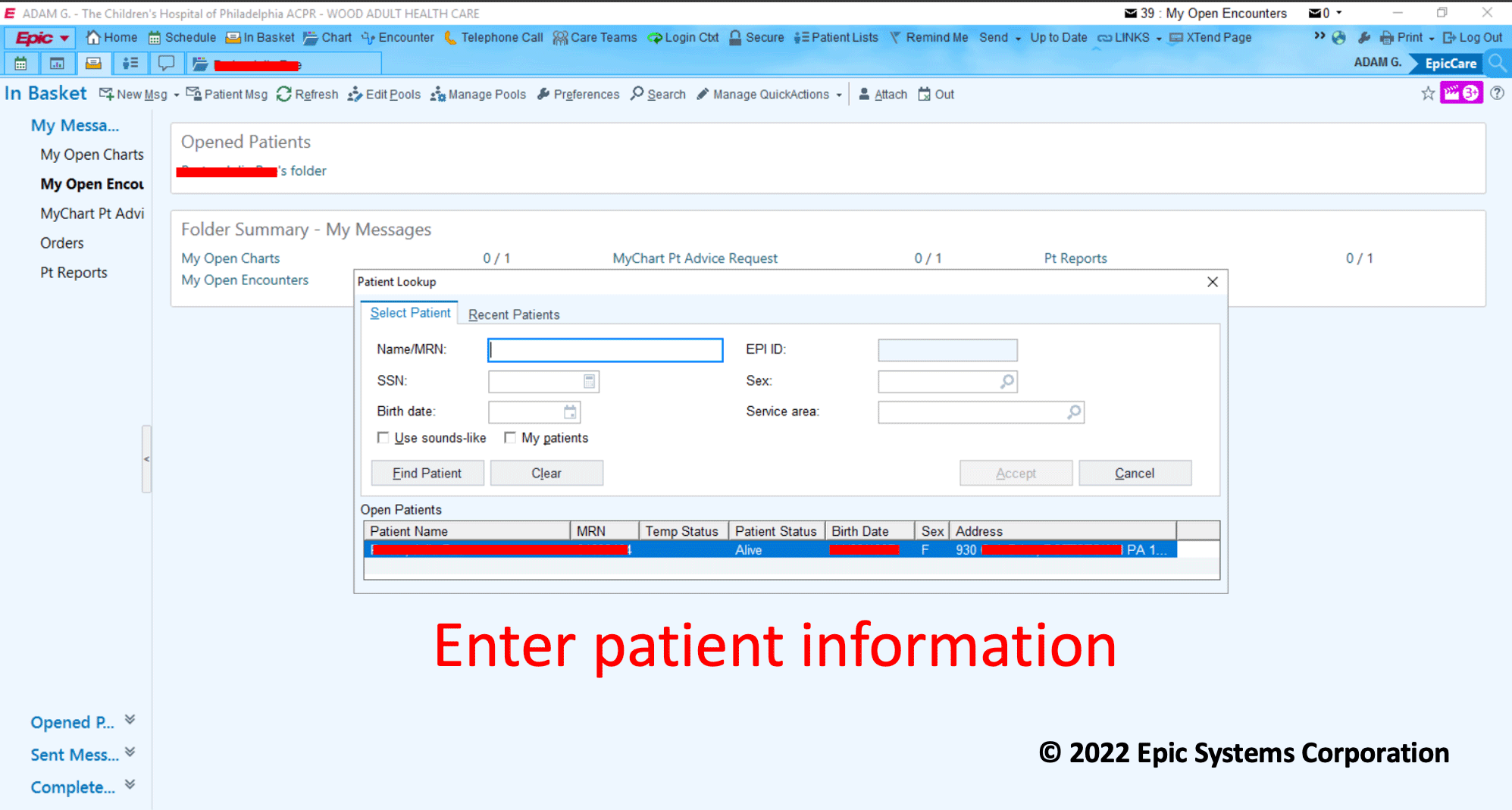 Epic screenshot, step 2, enter patient information screenshot