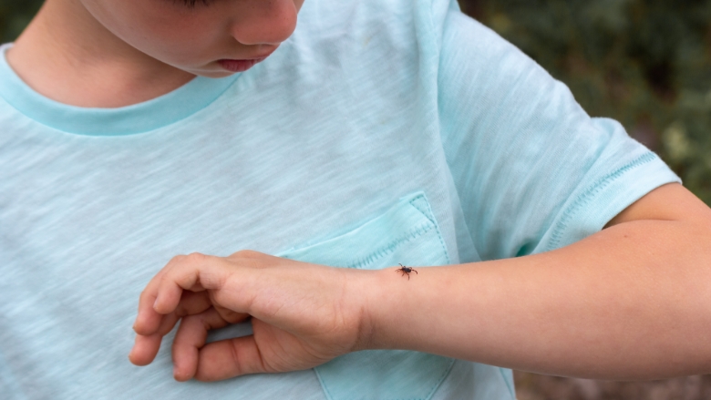 Keeping Safe From Bug-Borne Illnesses Keeping Safe From Bug-Borne Illnesses