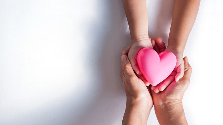 Parent and child's hands holding replica toy heart