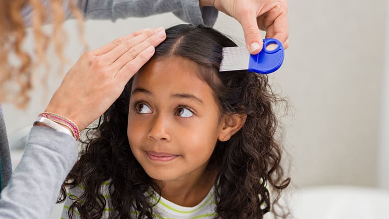 Head Lice: The Latest on Treating Lice and Stopping Their Spread |  Children's Hospital of Philadelphia