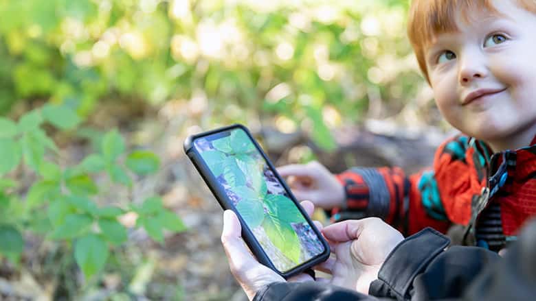 Parent helping child identify poison ivy