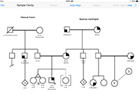 Image of iPad Pedigree