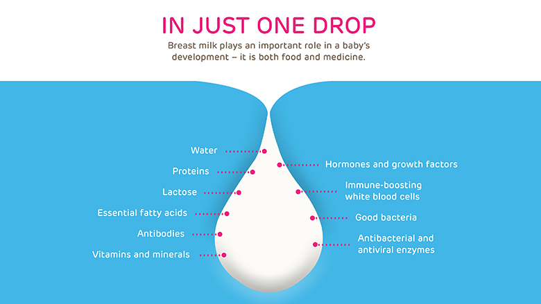 Just One Drop breastfeeding illustration