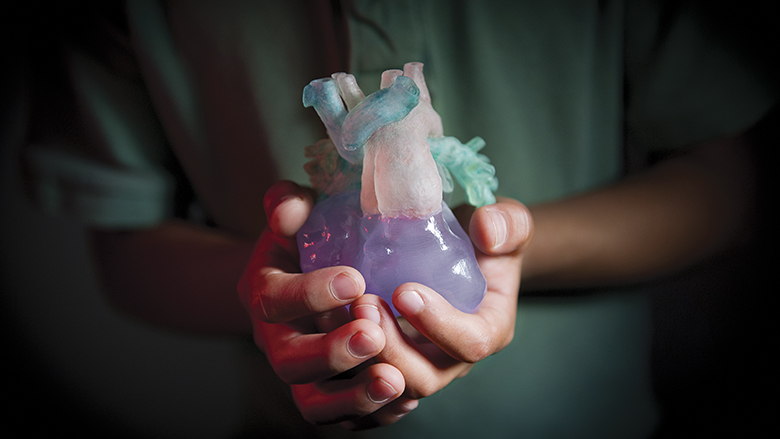 Heart Model