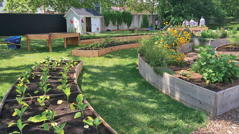 Outdoor garden area