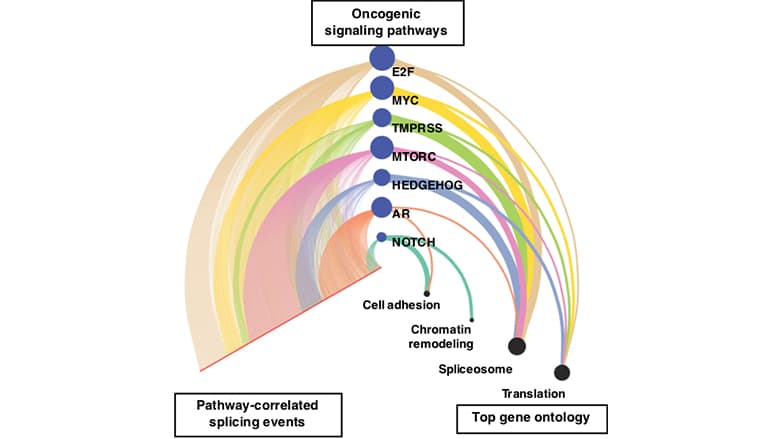 New Computational Tools Identify Alternative Splicing Changes in Aggressive Cancers