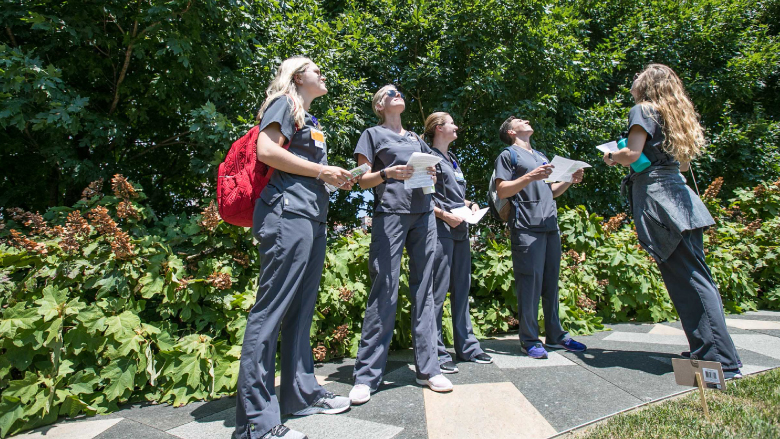 Mindfulness Walk Recap Mindfulness Walk Recap