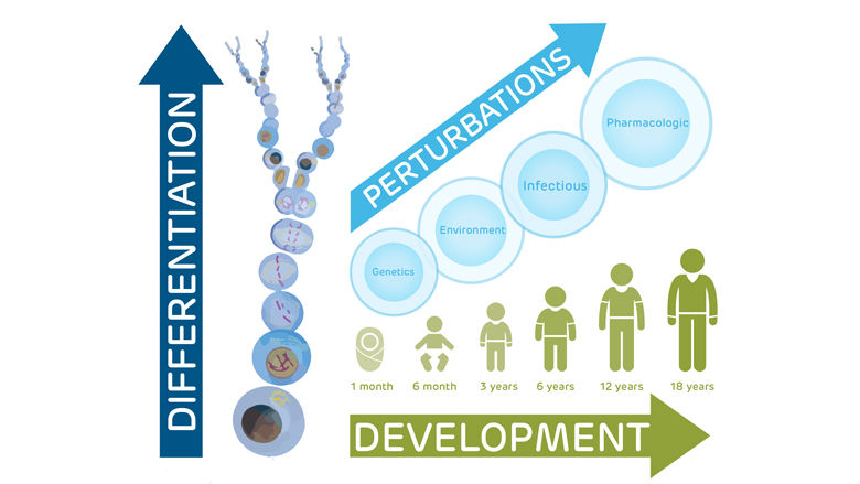 Pediatric Cell Atlas (PCA) illustration