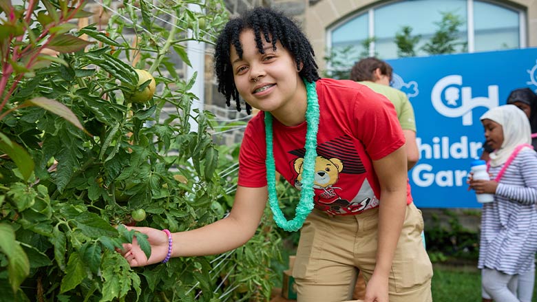 Planting the Seeds of a Healthy Diet Planting the Seeds of a Healthy Diet