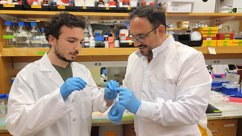 researchers