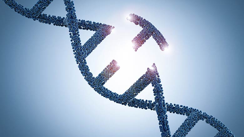 Researchers Develop “In Vivo” Gene Editing Model for Blood Disorders Researchers Develop “In Vivo” Gene Editing Model for Blood Disorders
