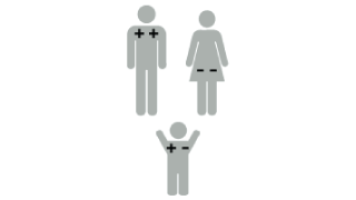 Illustration of Rh factor: baby is +-Rh positive