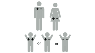 Illustration of Rh factor: baby is +-Rh positive