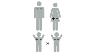 Illustration of Rh factor: baby is +-Rh positive