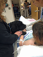 Service dog Finn consoles Ashley. Photo Credit: Journal of Anesthesia and Analgesia.