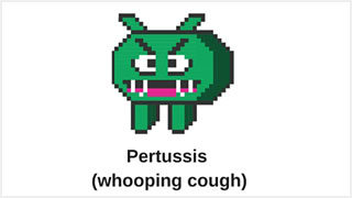 Pertussis (whooping cough) germ