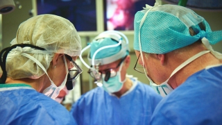 Fetal surgeons operating
