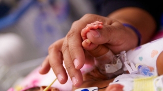 hand holding newborn infant hand
