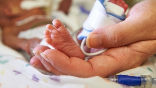 Newborn's foot in palm of adult hand