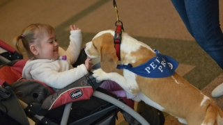 CLD patient with therapy dog at the 2016 reunion