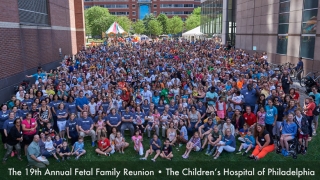 Fetal Family Reunion 2015