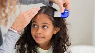 Young girl getting hair combed for lice test