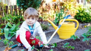 Young boy in garden