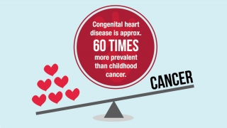 Congenital Heart Disease Infographic