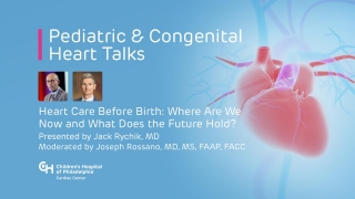 Heart Care Before Birth: Where Are We Now and  What Does the Future Hold?