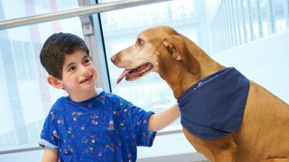 Young male patient petting dog