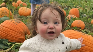 Frances sitting in a pumpkin patch