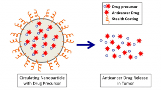 Nanoparticles vs Neuroblastoma