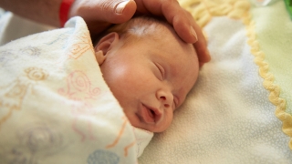 Newborn infant 
