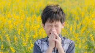 Boy sneezing in field of flowers