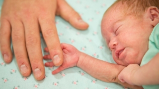 Adult index finger in hand of infant