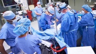 CHOP Cardiac Surgeons in Surgery