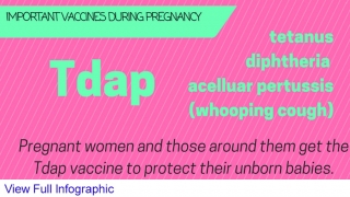 Tdap Vaccine during Pregnancy infographic